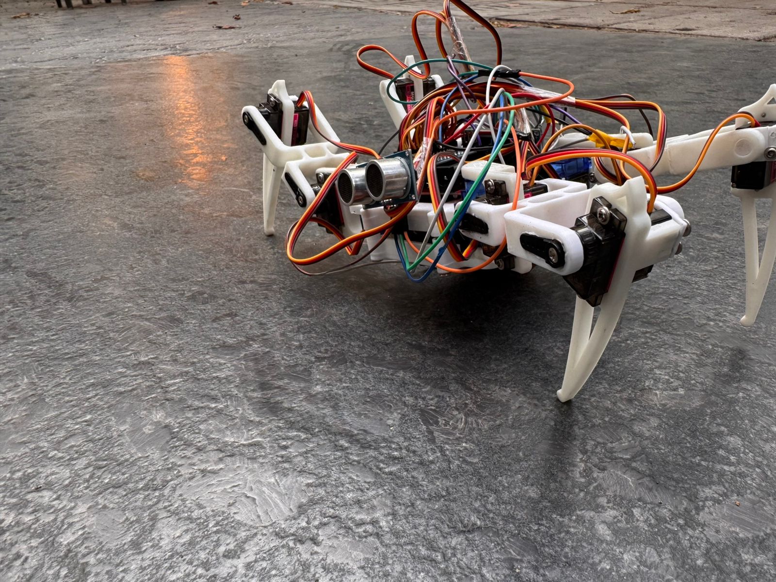Spider quadruped robot